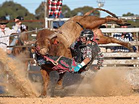 Bull Ride