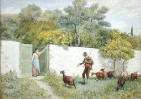 Scene at Montone - The Goatherd