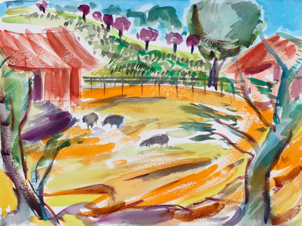 Barnyard with Sheep, Napa Valley de Richard Fox