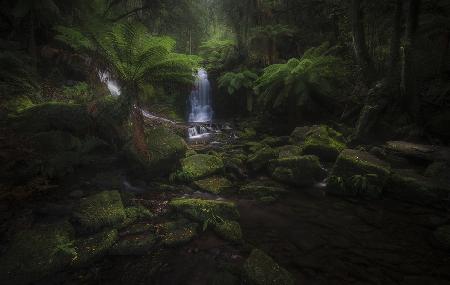 Horseshoe Falls