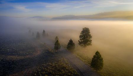 Mountain Sunrise