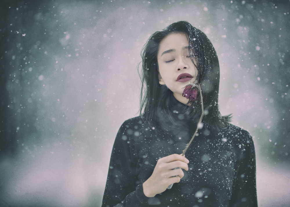 Winter Dream de Rob Li