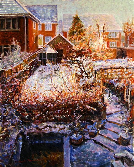 Sussex Garden in Winter  de Robert  Tyndall
