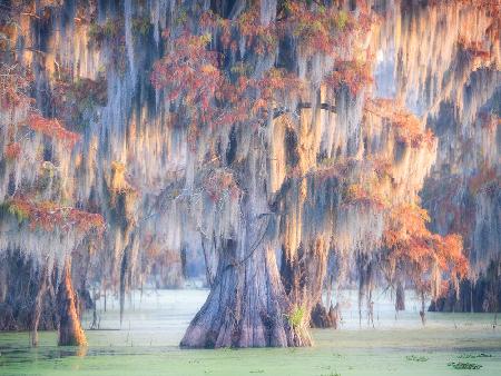 Atchafalaya River