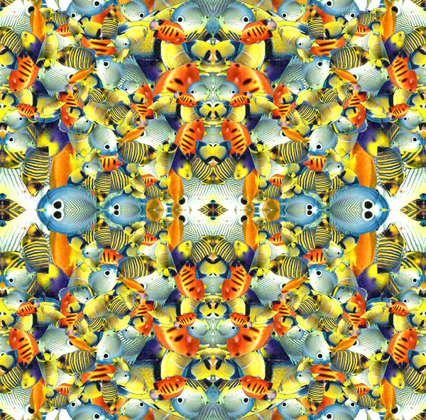 Kaleidoscope Fish Tile de Robyn Parker