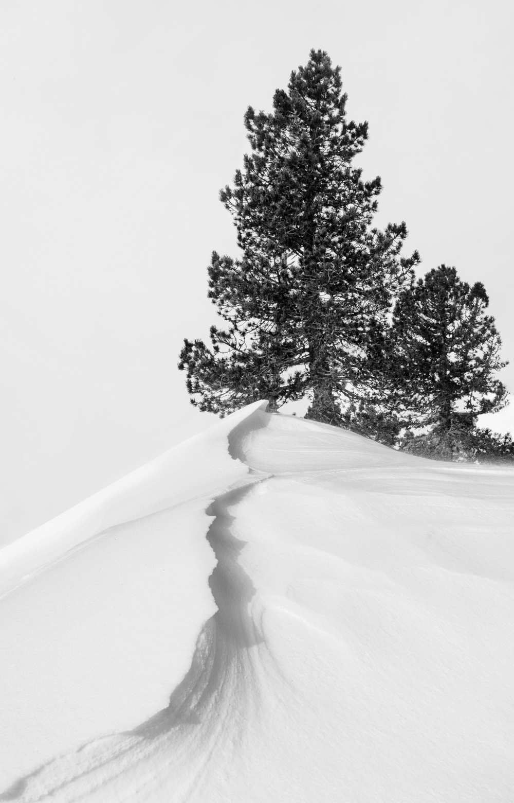 Titulo de la imágen Rodrigo Núñez Buj - About the snow and forms