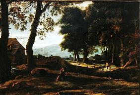 Landscape