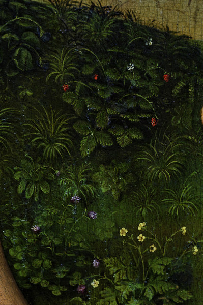 R.v.d. Weyden, Plants and flowers de Rogier van der Weyden