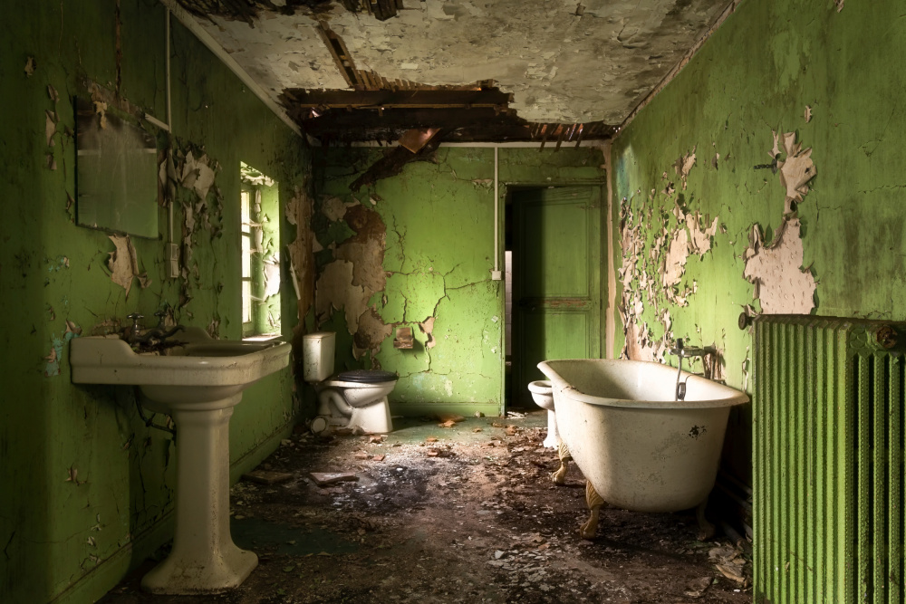 Green Bathroom de Roman Robroek