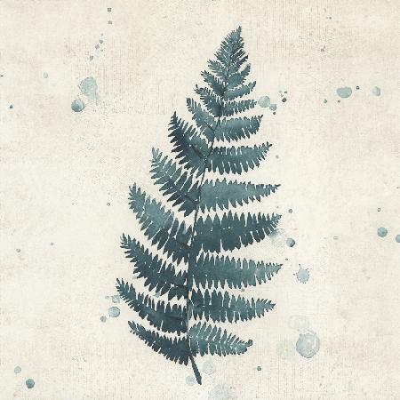 Teal watercolor fern 3