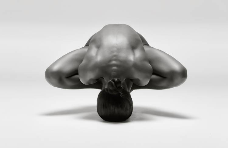 Symmetrical Gymnast de Ross Oscar