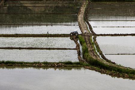 farmers