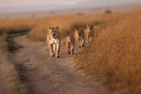 Mom and the Cubs