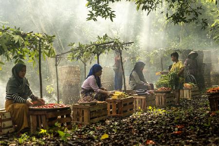 Tangerang Market