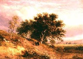 English Rural Landscape