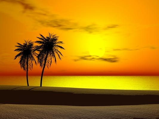 Tropical sunrise de Sarah Holmlund