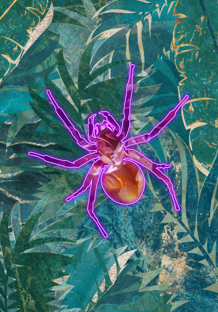 Neon Spider in the jungle de Sarah Manovski