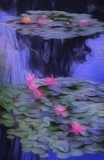 Lily Pond2