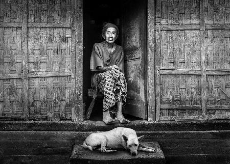 Old lady, her old dog and her old house