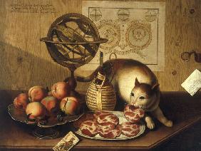 S.Lazzari / Still-Life w.Cat / C18th