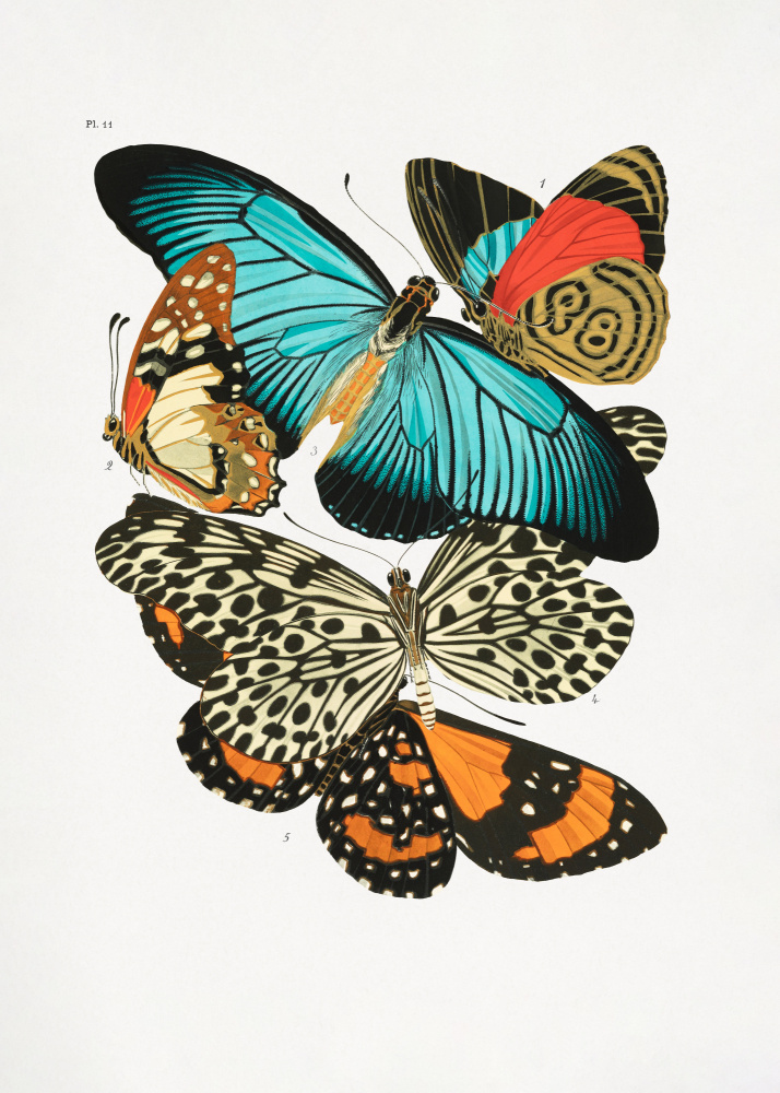 Butterflies 1 de Seguy
