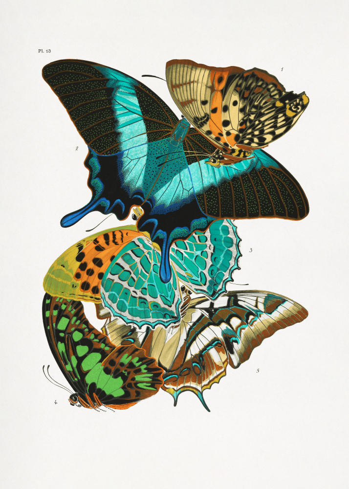 Butterflies 5 de Seguy
