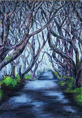 Dark Hedges in Eire 2019