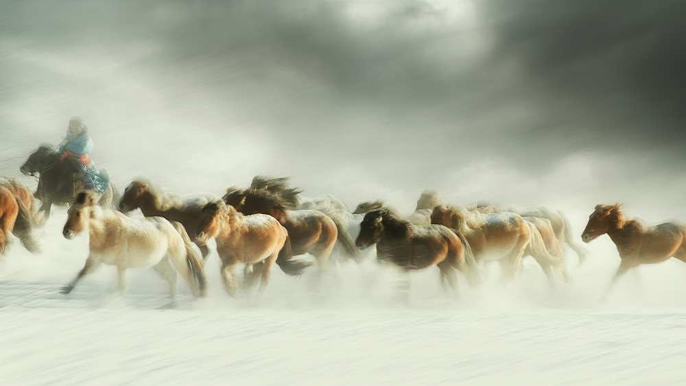 Horses gallop de Shu-Guang Yang