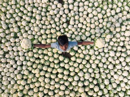 Boy in a village market