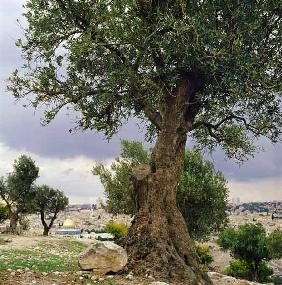 View of the city of Jerusalem from the Mount of Olives