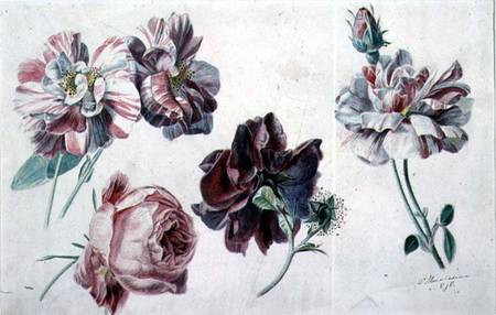 Roses de Sir Lawrence Alma-Tadema