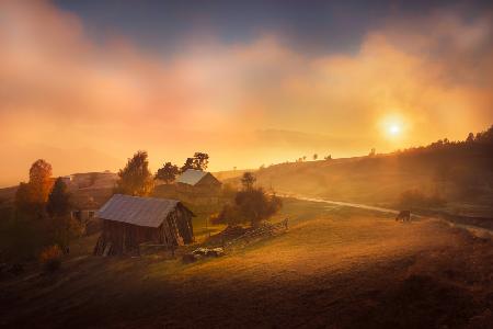 A misty sunset