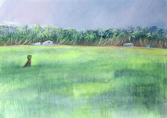 Rice Fields, Goa, India, 1997 (oil on paper)  de Sophia  Elliot