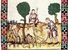 Fol.237r A farmer teaching his son to plough a field