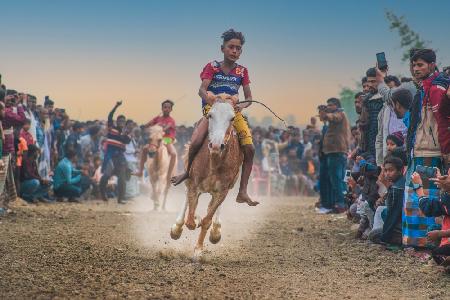 Traditional Horse Race