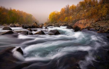 Signaldalelva river