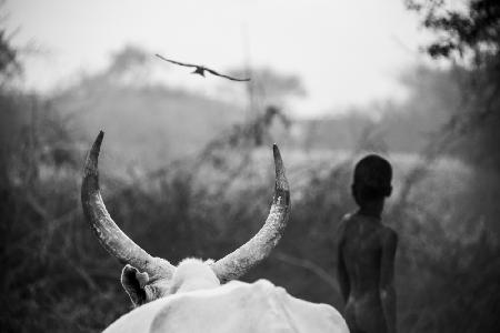 Boy and Cow