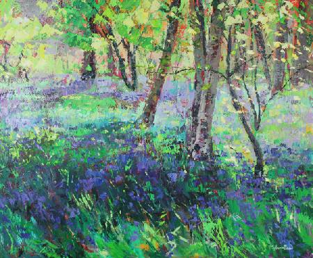 Sunshine and Bluebells