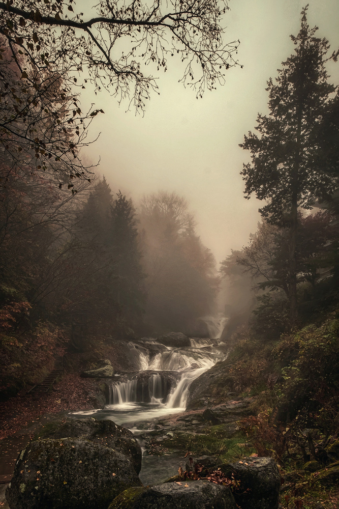Misty Creek de Teddy Hariyanto
