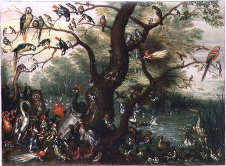 Concert of Birds de the Elder Kessel