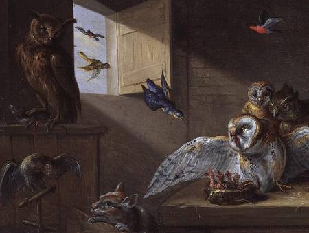 A Family of Owls, other Birds and a Cat de the Elder Kessel