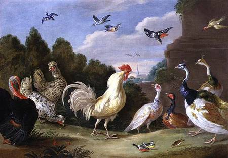 Wooded Landscape with a Cock, Turkey, Hens and other Birds de the Elder Kessel