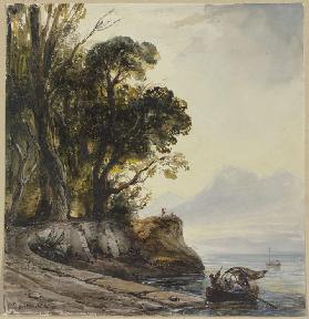 Coastal landscape