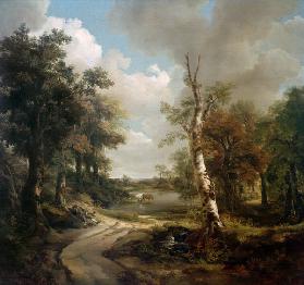 Forest Scene Cornard