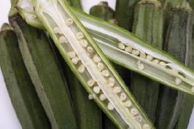 Okra 2