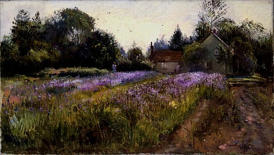 Iris Field and the Old Chapel, Burgate, 1994  de Timothy  Easton