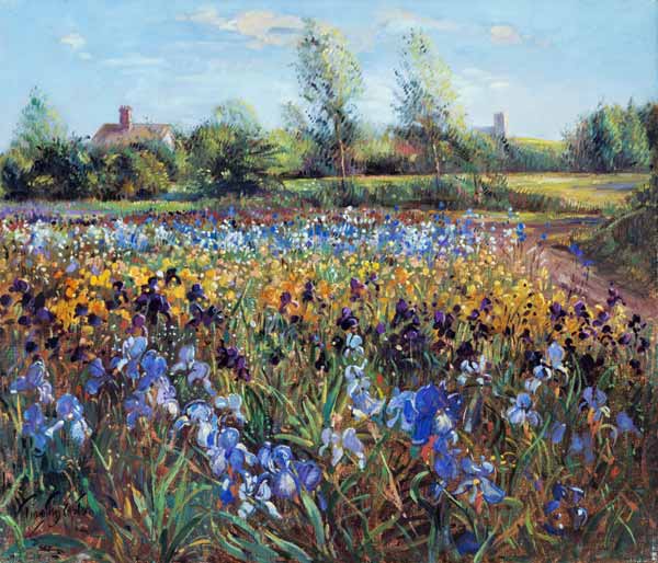 Irises and Burgate Green (oil on canvas)  de Timothy  Easton