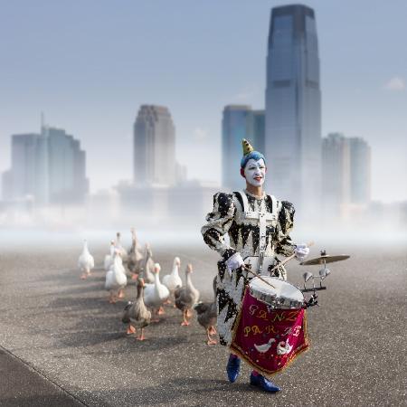 Goose parade