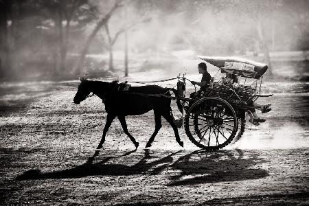 Dusty Horse Ride