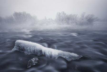 Frozen trunk